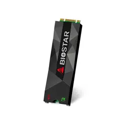 حافظه SSD بایوستار M500 ظرفیت ۲۵۶GB