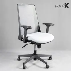 صندلی کارشناسی لیو - I81d