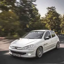 زه اطراف پژو 206 (رنگبندی) زه کنار درب Peugeot 206