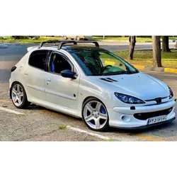 زه اطراف پژو 206 (رنگبندی) زه کنار درب Peugeot 206