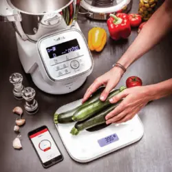 غذاساز تفال مدل FE 90