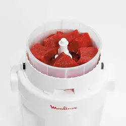 خردکن مولینکس مدل A320