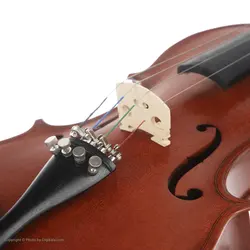 ویولن آماتی کد 160 | رادک
