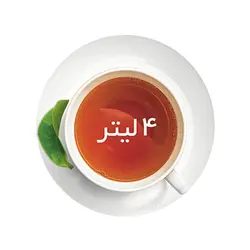 چای ساز فلر مدل TS 301 WP/BKP