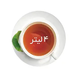 چای ساز فلر مدل TS 301