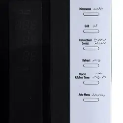 مایکروویو فلر مدل MW 302