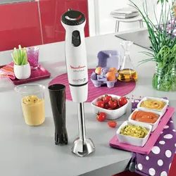 گوشت کوب برقی مولینکس مدل DD86