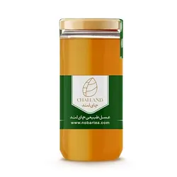عسل طبیعی و ارگانیک چایلند 500 گرمی