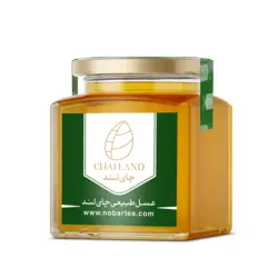 عسل طبیعی 400گرمی برند چایلند