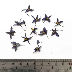 گل خشک مدل سنبل صحرایی ۱۰ عددی