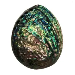 صدف دریا مدل آبالون