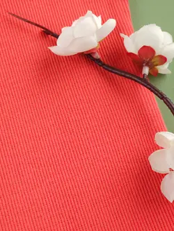 بادی یقه قایقی آوین