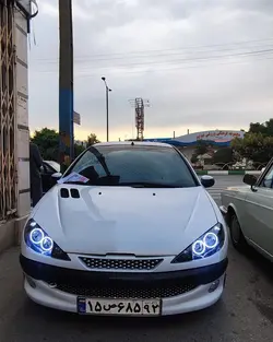 شبکه سپر ۲۰۶ طرح نگین دار