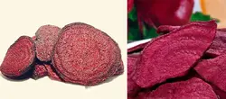 تجهیزات خلاء برای سرخ کردن چیپس ریشه چغندر - چتـــــ کـــــالا
