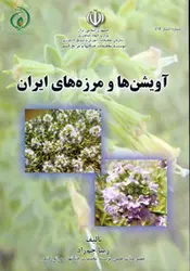 آویشن ها و مرزه های ایران