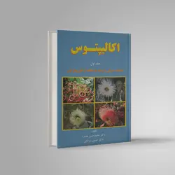 اکالیپتوس