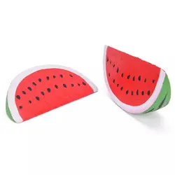 اسکویشی هندوانه