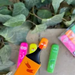 هایلایتر فلت حیوانات