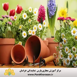 دوره آموزش باغبانی و گیاهان آپارتمانی