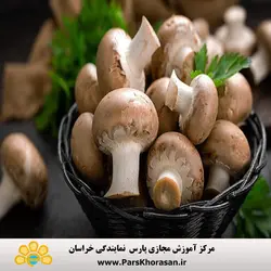 دوره آموزش پرورش قارچ خوراکی