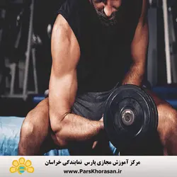 دوره آموزش مربی بدنسازی پیشرفته