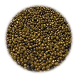 ماش بومی گتوندی خوزستان