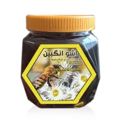 عسل گیاه اوکالیپتوس ۱ کیلویی