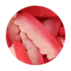 پاستیل طرح دندان