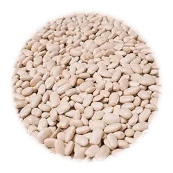 لوبیا سفید بومی دستچین شده