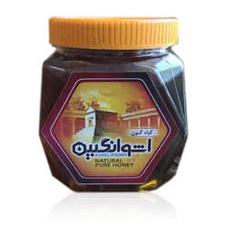 عسل گیاه گون ۱ کیلویی