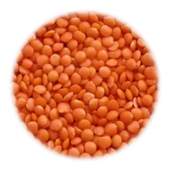 دال عدس (عدس قرمز)