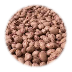 لوبیا چیتی بومی دستچین شده