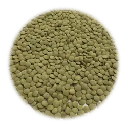 عدس سبز درشت خارجی