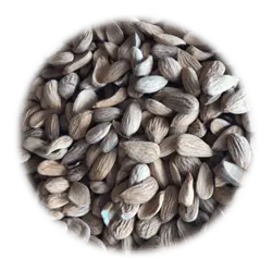 مغز بادام مامایی شورآریایی