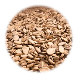 تخمه هندوانه شور سفید سوپر