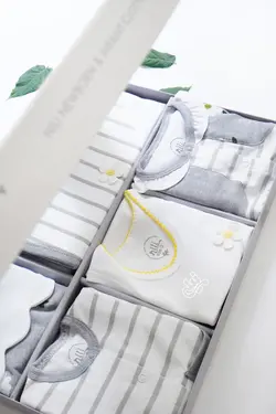 13 تیکه طرح بابونه