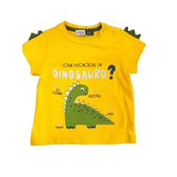 تیشرت و بیلر 19939