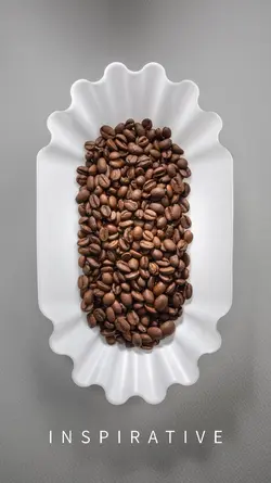 تری قهوه کومولوس - tray