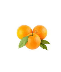 پرتقال نافی دارابی - 500 گرم