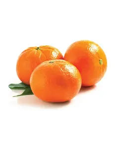 نارنگی شهری