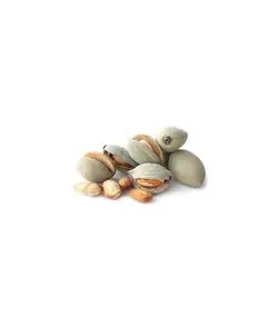 بادام کاغذی تر - 500 گرم