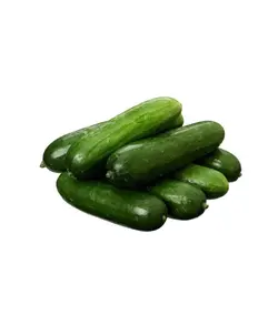 خیار سالادی (کپی)