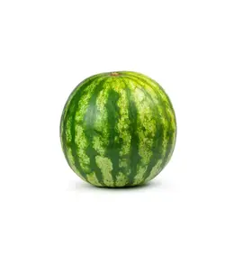هندوانه 8 الی 9 کیلوگرم
