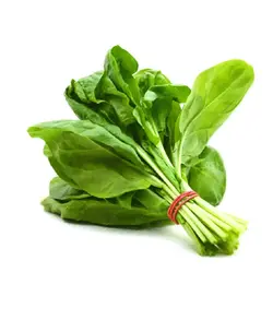 اسفناج