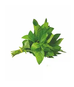 ریحان - 300 گرم