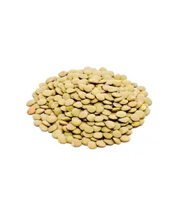 عدس درشت - 700 گرم