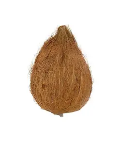 نارگیل