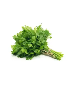 گشنیز
