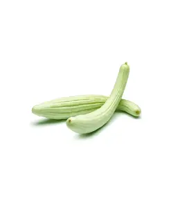 خیار چنبر