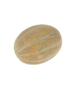 طالبی جانا 1.7 کیلوگرم